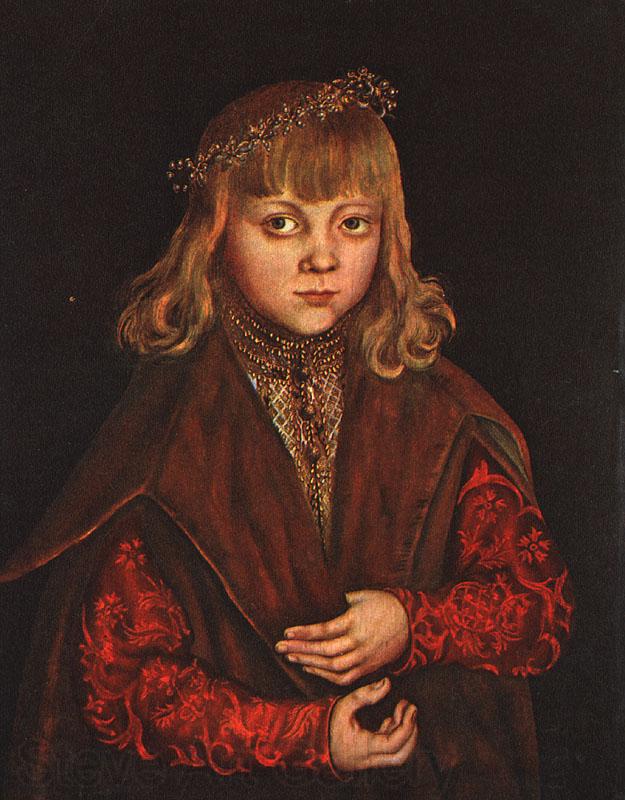 CRANACH, Lucas the Elder A Prince of Saxony dfg Germany oil painting art